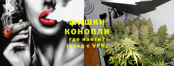 дурь Арсеньев